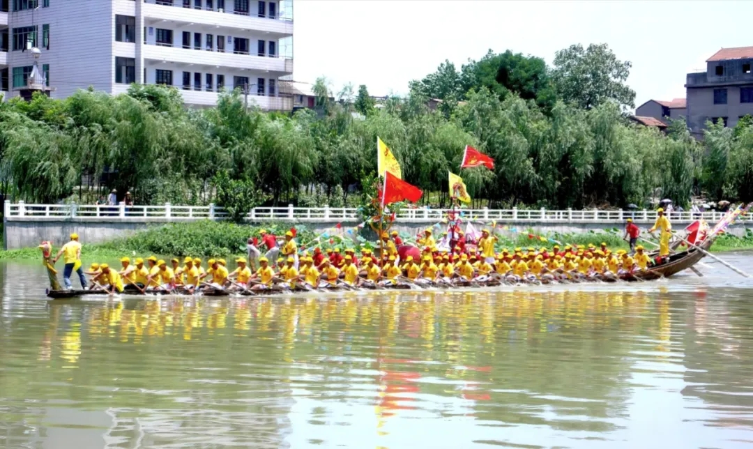 9217_v7c2_7824.webp