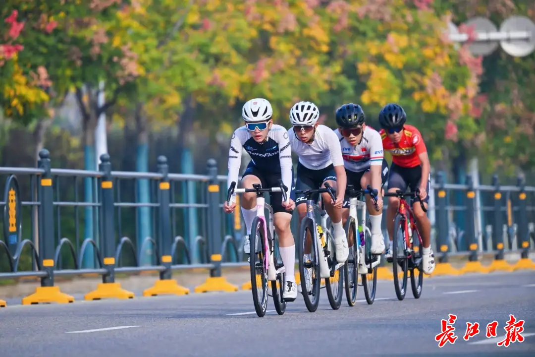 10534_bwdy_1639.webp